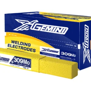 Gemini 309Mo